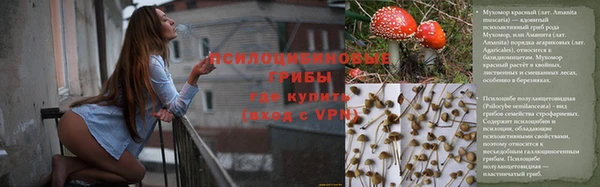 наркотики Белокуриха