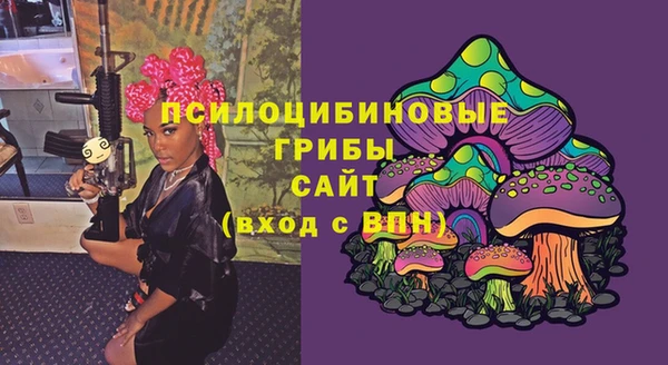 наркотики Белокуриха