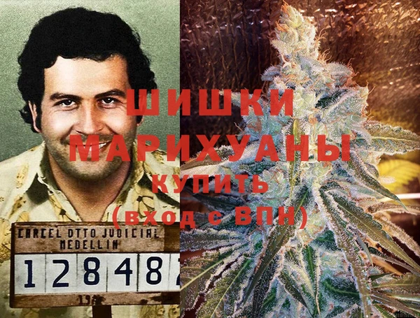 сатива Балабаново