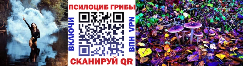 Псилоцибиновые грибы Psilocybe купить закладку Шенкурск